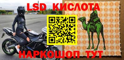 стаф Бугуруслан